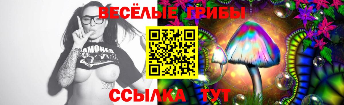 Галлюциногенные грибы Cubensis Ирбит